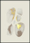 Creme Gemstones Left Real Gold Poster 50x70cm
